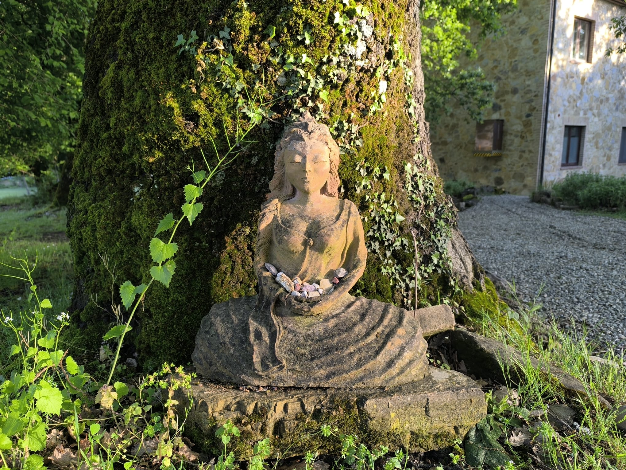 A small contemplative sculpture beneath an old tree, photographed by Myrte